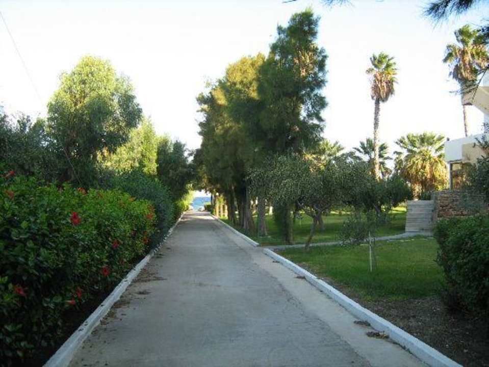 Ogród hotelowy Doreta Beach Resort & Spa