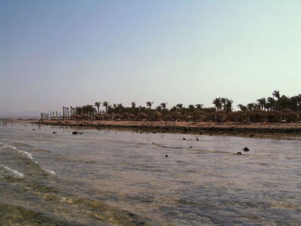 Blick auf den Strand Makadi Palace