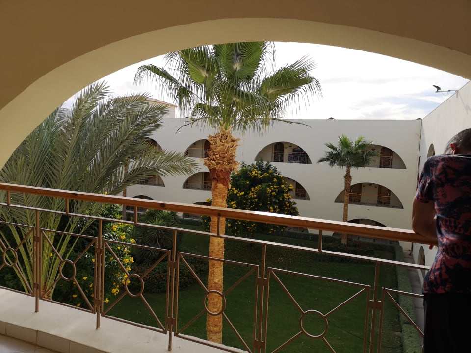 Ausblick Desert Rose