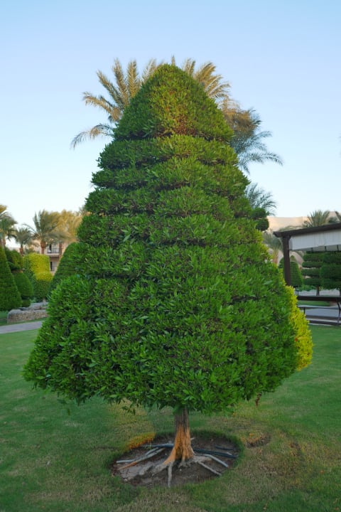 Gartenanlage Jaz Makadina