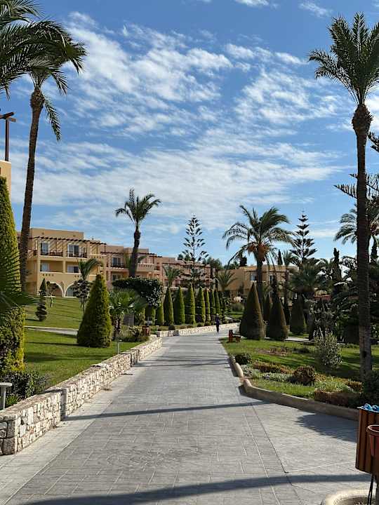 Gartenanlage Hotel Horizon Beach Resort