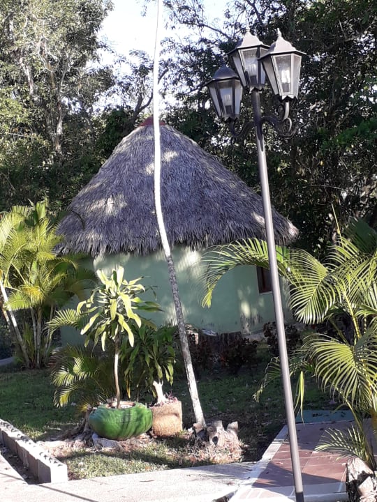 Gartenanlage Hotel Los Caneyes