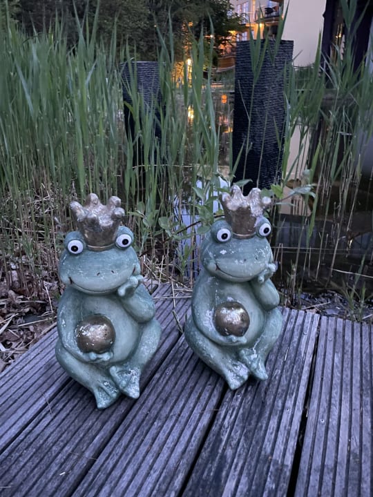 Gartenanlage Spirit & SPA Hotel Birkenhof am Elfenhain