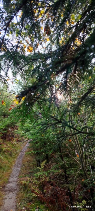 Ausblick Berghotel Hoher Knochen
