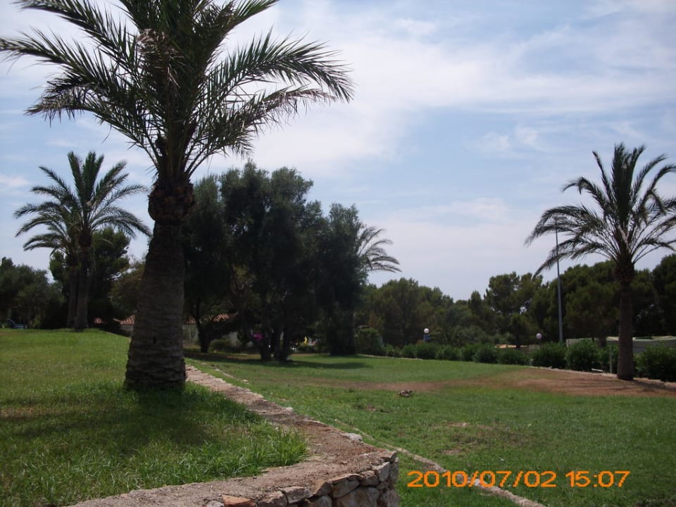 Eine Palme Sun Club Eldorado