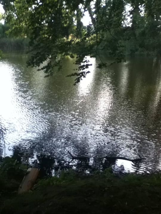 Der Teich Hotel garni Landhausperle an der Müritz