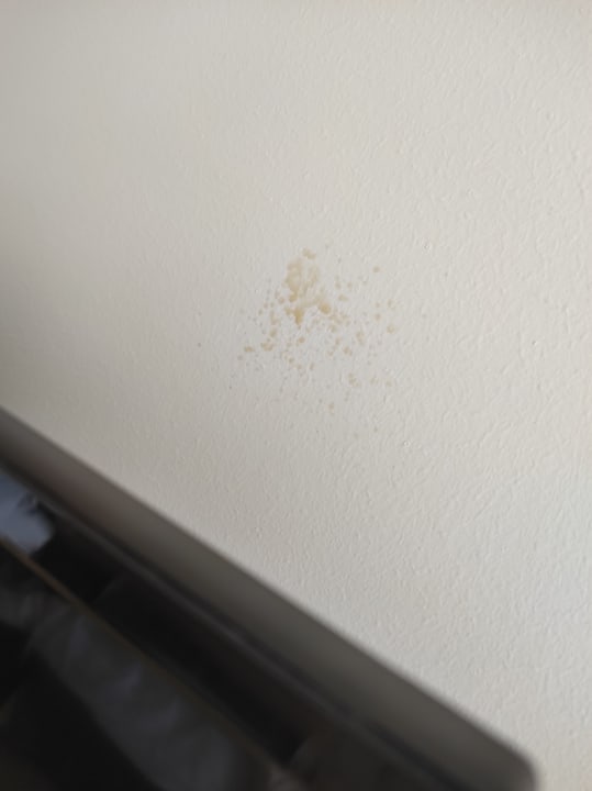 Zimmer Süral Saray Hotel