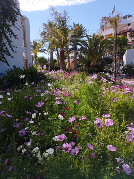 Gartenanlage Anissa Beach & Village