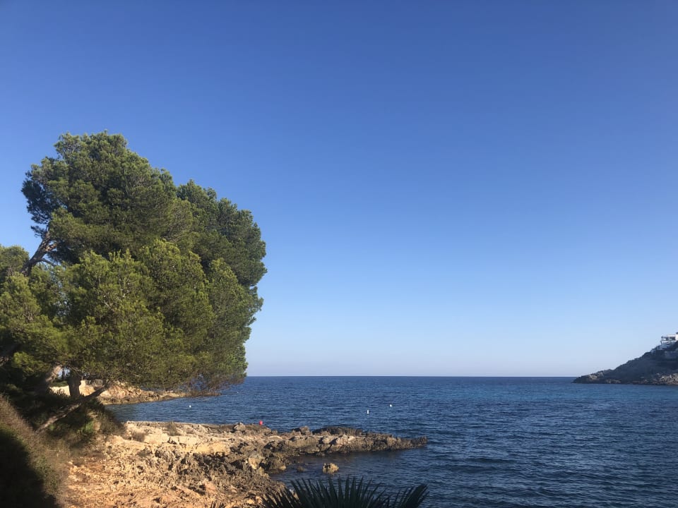 Ausblick Iberostar Waves Pinos Park