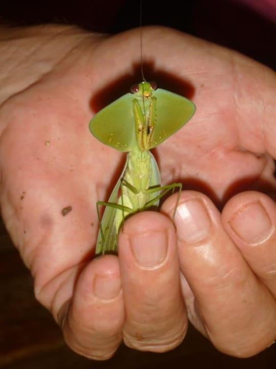 Besucher im Restaurant Suital Lodge