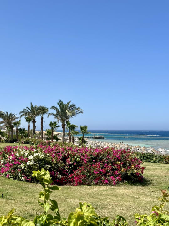 Gartenanlage Fantazia Resort Marsa Alam