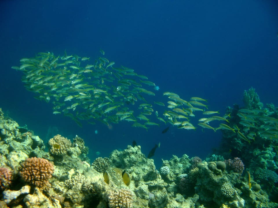 3 Stella Beach Resort & Spa Makadi Bay