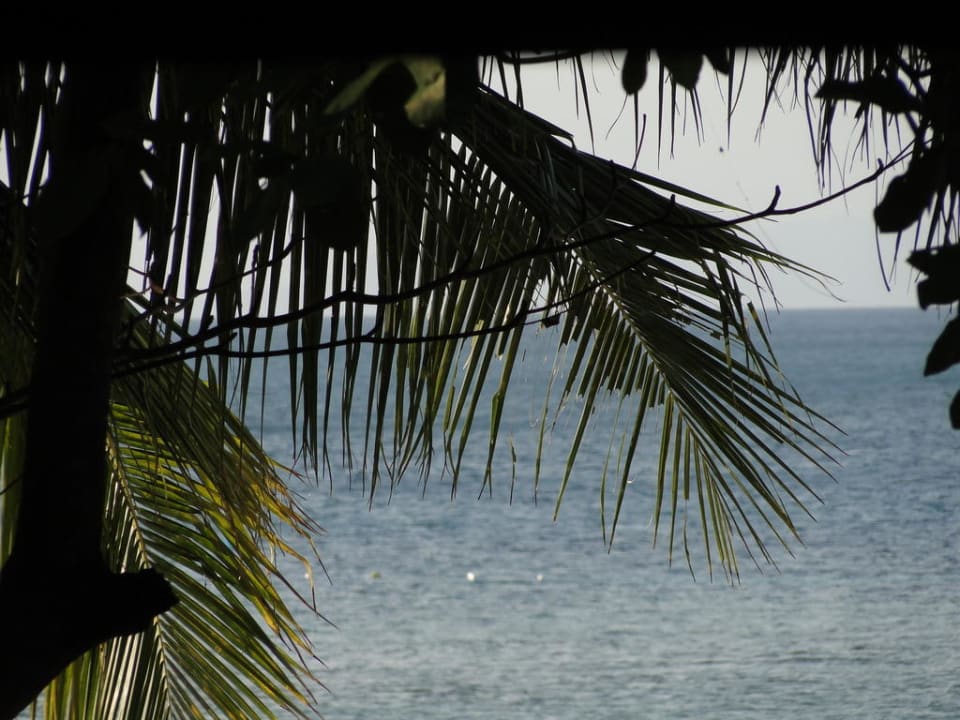 Ausblick Hotel Salad Hut