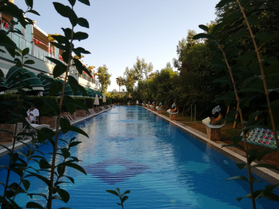 Pool Hotel Delphin Imperial