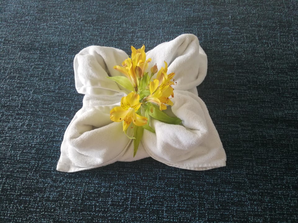 Zimmer Dreams Jardín Tropical