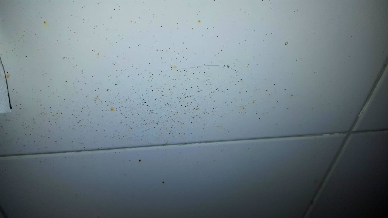 Blut oder Kot neben der Toilette Ephesia Holiday Beach Club