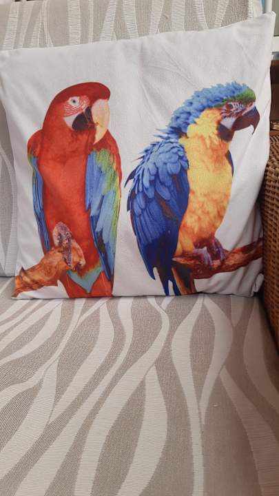 Sonstiges Marina Playa Suite Hotel