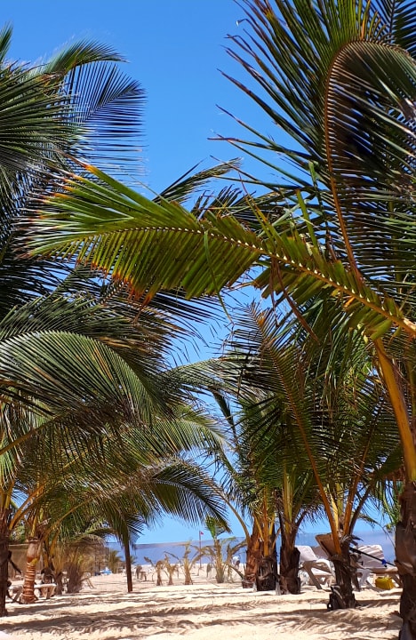 Strand Hotel Riu Touareg