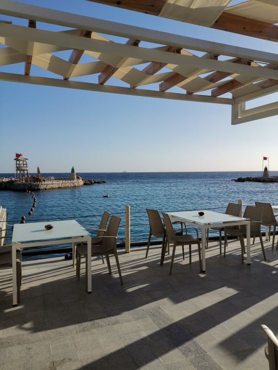 Gastro Pickalbatros Citadel Resort