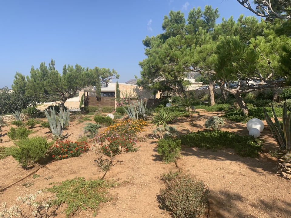 Gartenanlage Kakkos Beach Hotel