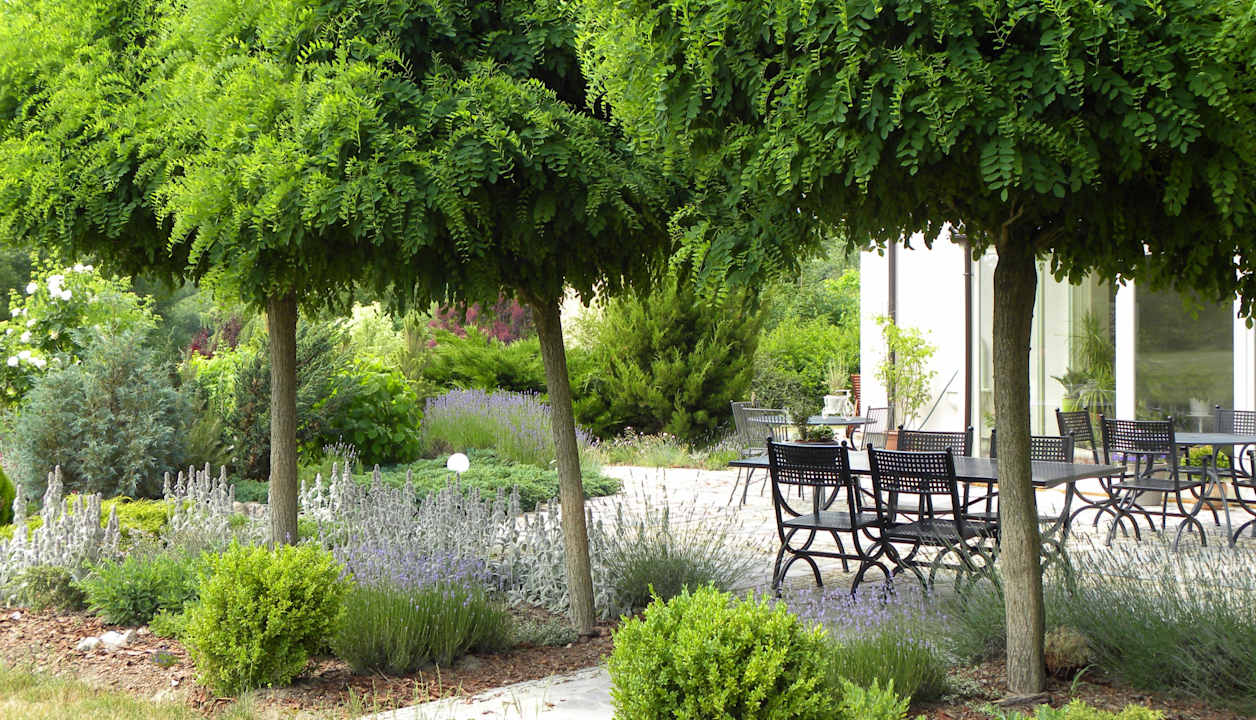 Gartenanlage Siedlisko Orlik - Villa Orlik