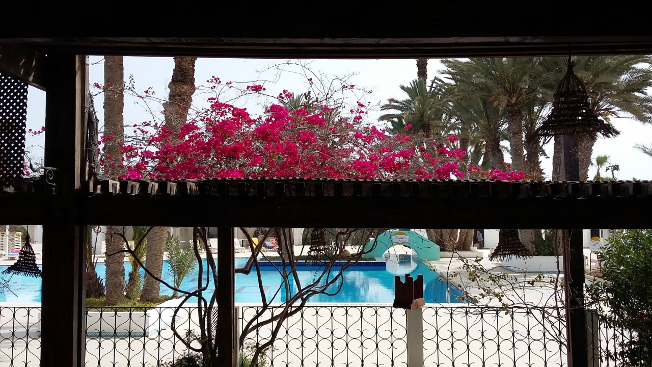 Pool Hotel Sangho Club Zarzis