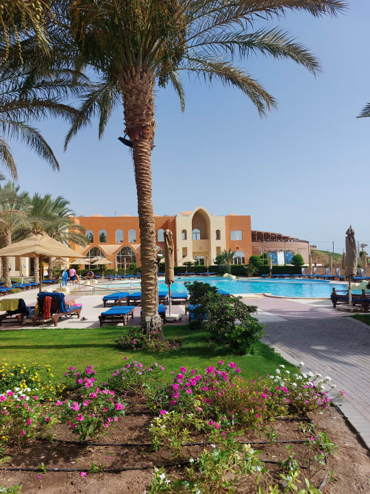 Pool Novotel Marsa Alam Beach Resort