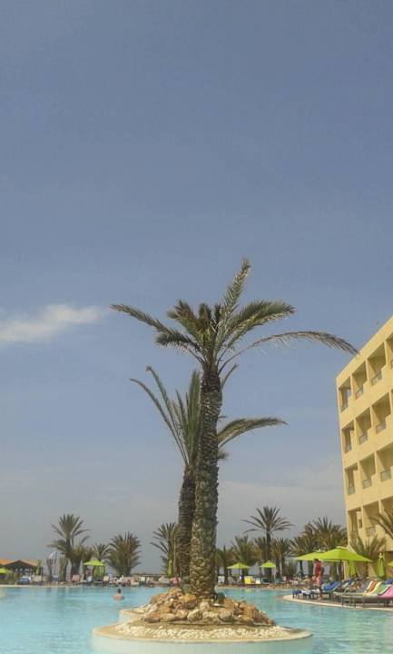 Poolblick Hotel Rosa Beach