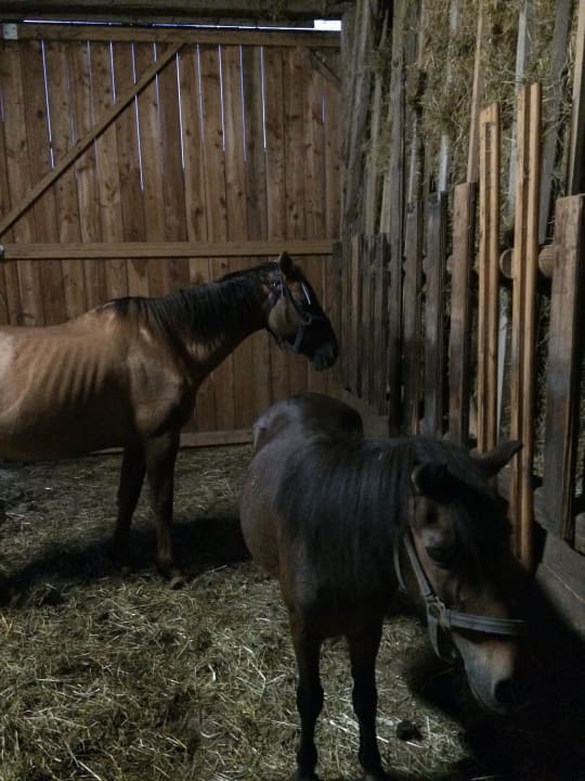 Gartenanlage Huis'n Hof