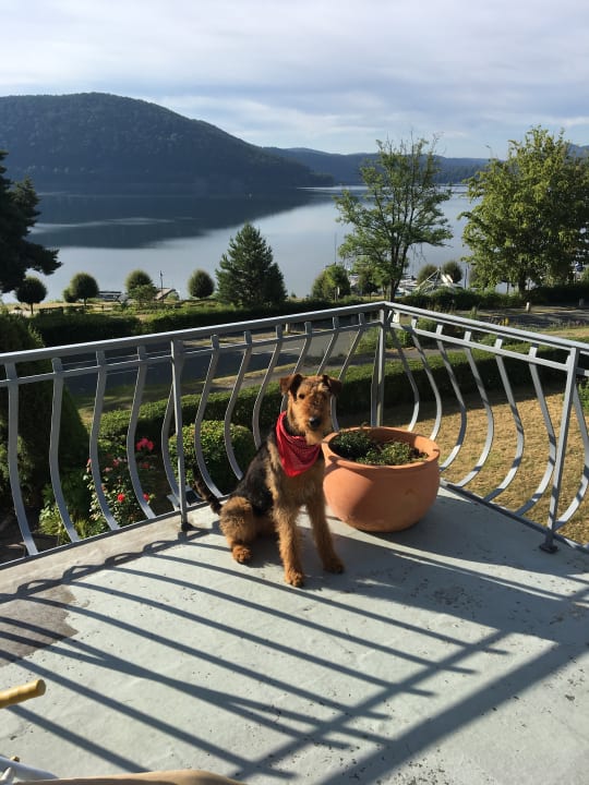 Ausblick Seehotel Andree & Gästehaus Seehof