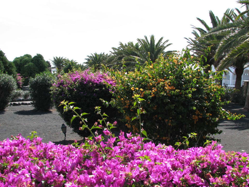 Gartenanlage Relaxia Olivina