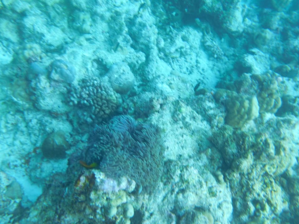 Sport & Freizeit Furaveri Maldives