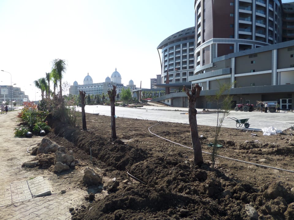 Außenansicht Royal Seginus