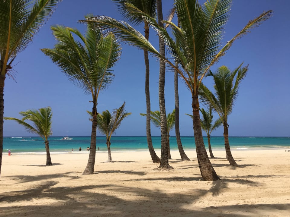 Hotelstrand Paradisus Punta Cana Resort (Im Umbau/Renovierung)