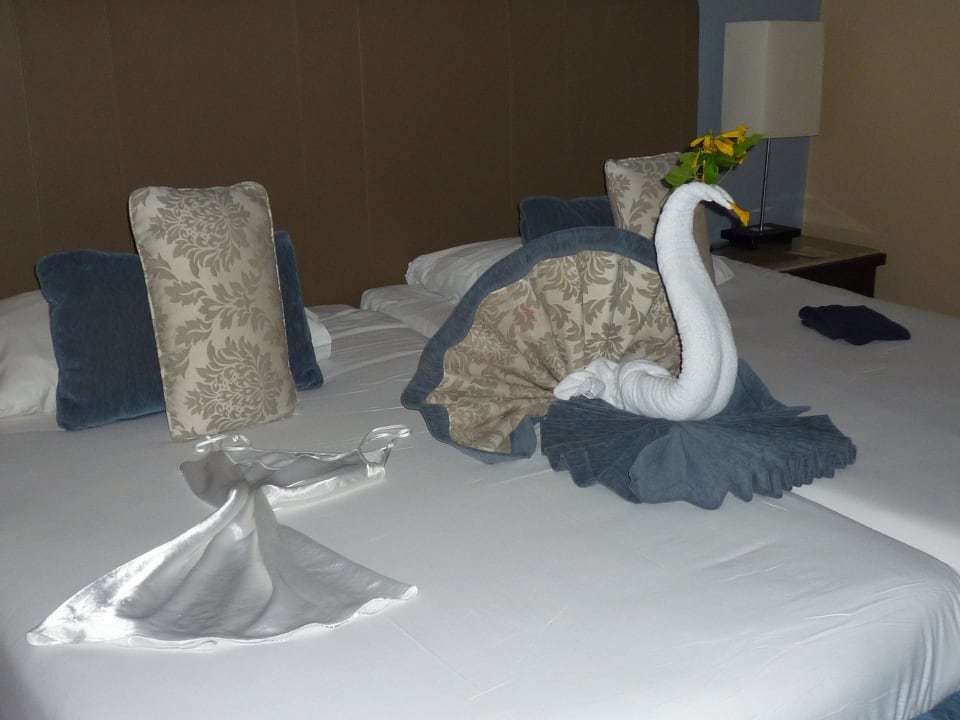 Hotelzimmer JAZ Aquamarine Resort