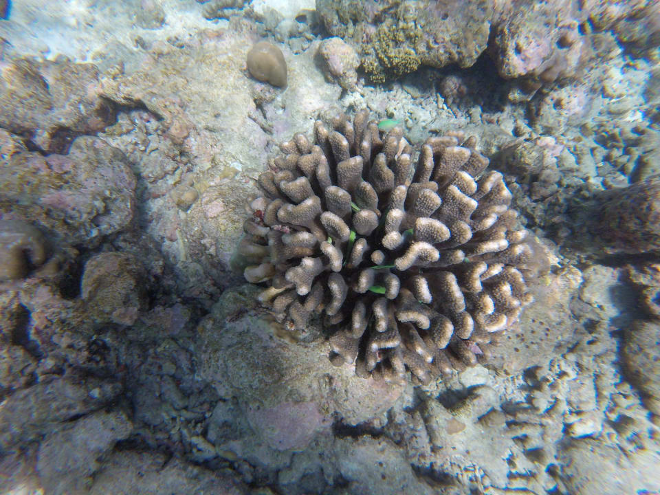 Sport & Freizeit Adaaran Select Meedhupparu Island Resort - Premium All Inclusive