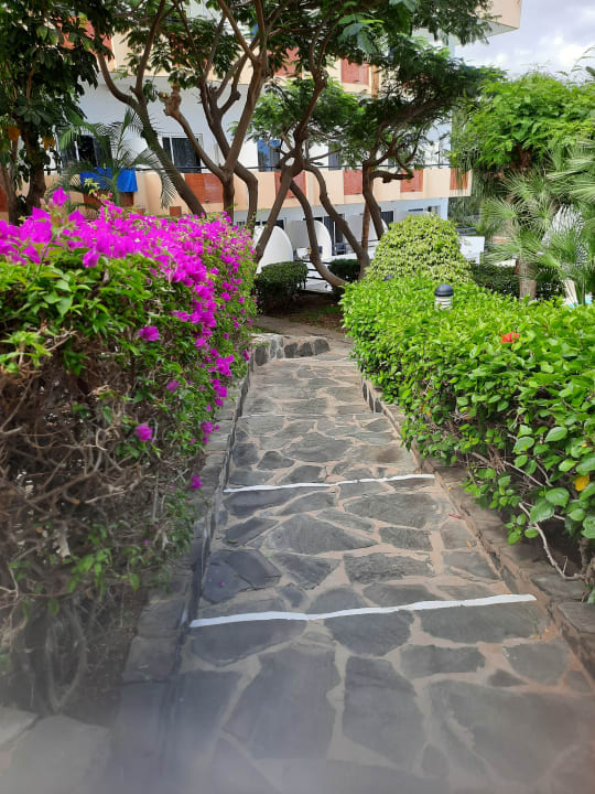 Gartenanlage allsun Hotel Lucana