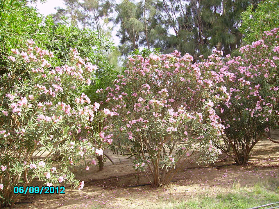 Einfach schön El Ksar Resort & Thalasso