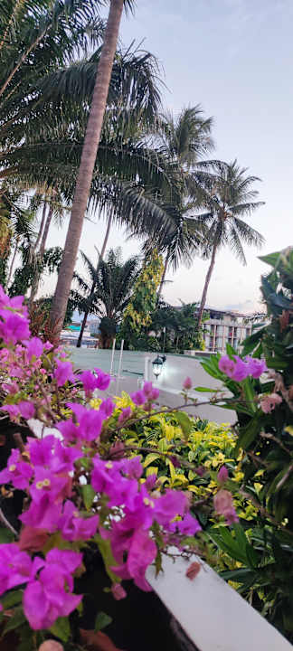 Gartenanlage Best Western Phuket Ocean Resort