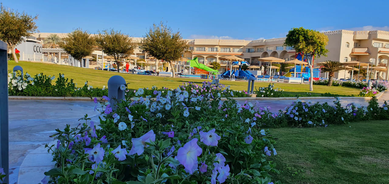 Ausblick Pickalbatros Royal Moderna Resort-Sharm El Sheikh