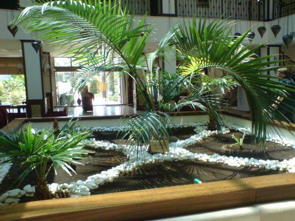 Palmengarten in Lobby TUI BLUE Palm Garden