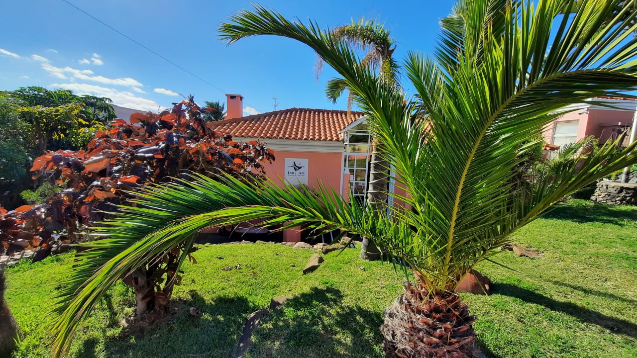 Außenansicht Hotel Inn & Art Madeira