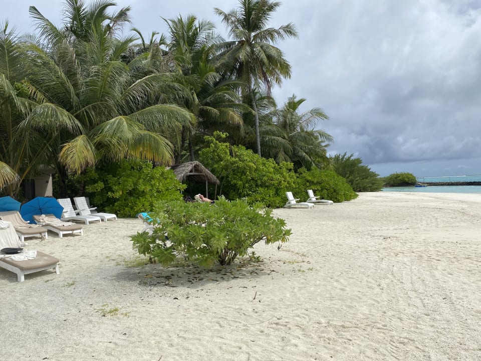 Strand Summer Island Maldives