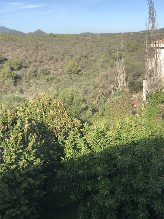 Ausblick Hotel Club Cala Romani