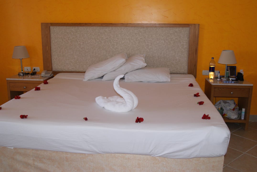 Kunststück Hotel Gorgonia Beach Resort