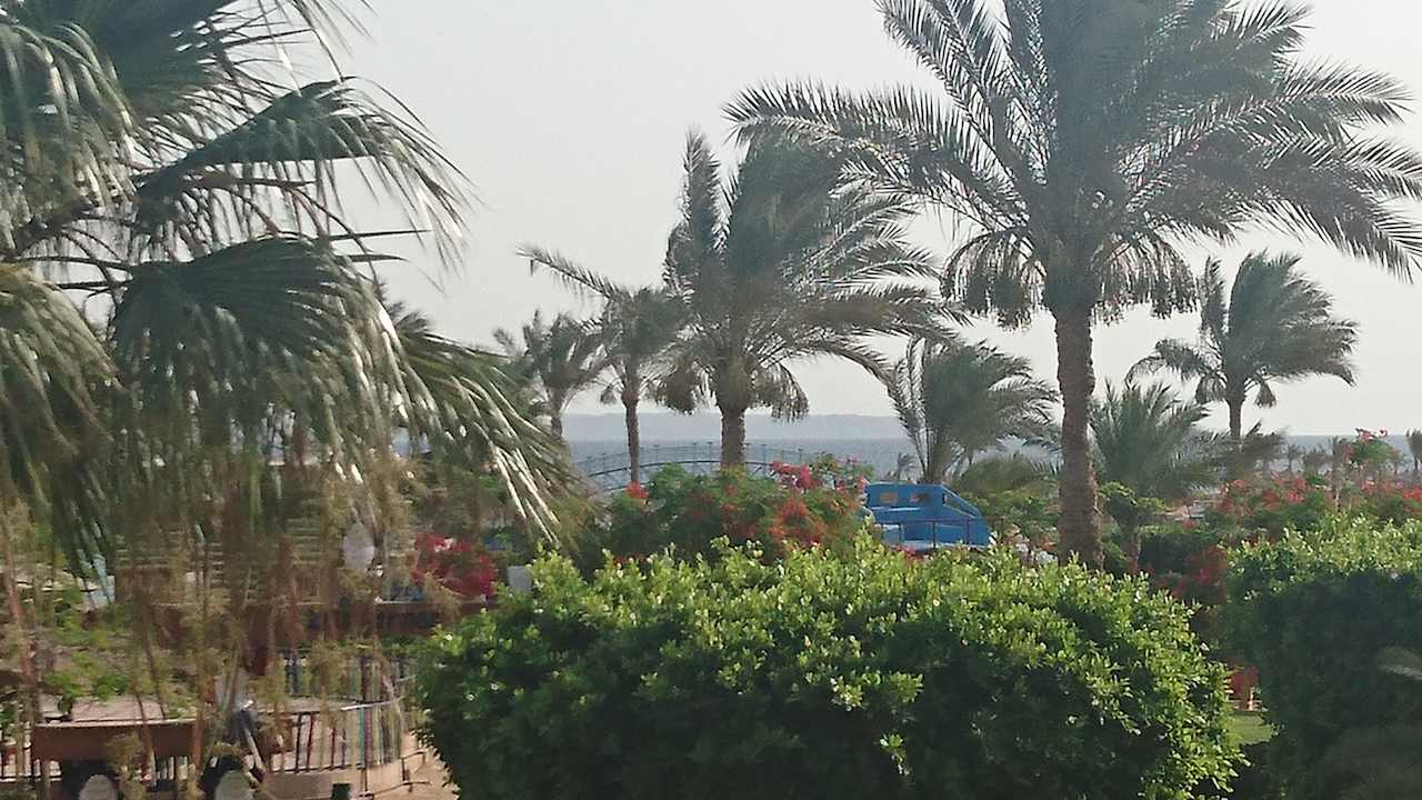 Ausblick Desert Rose