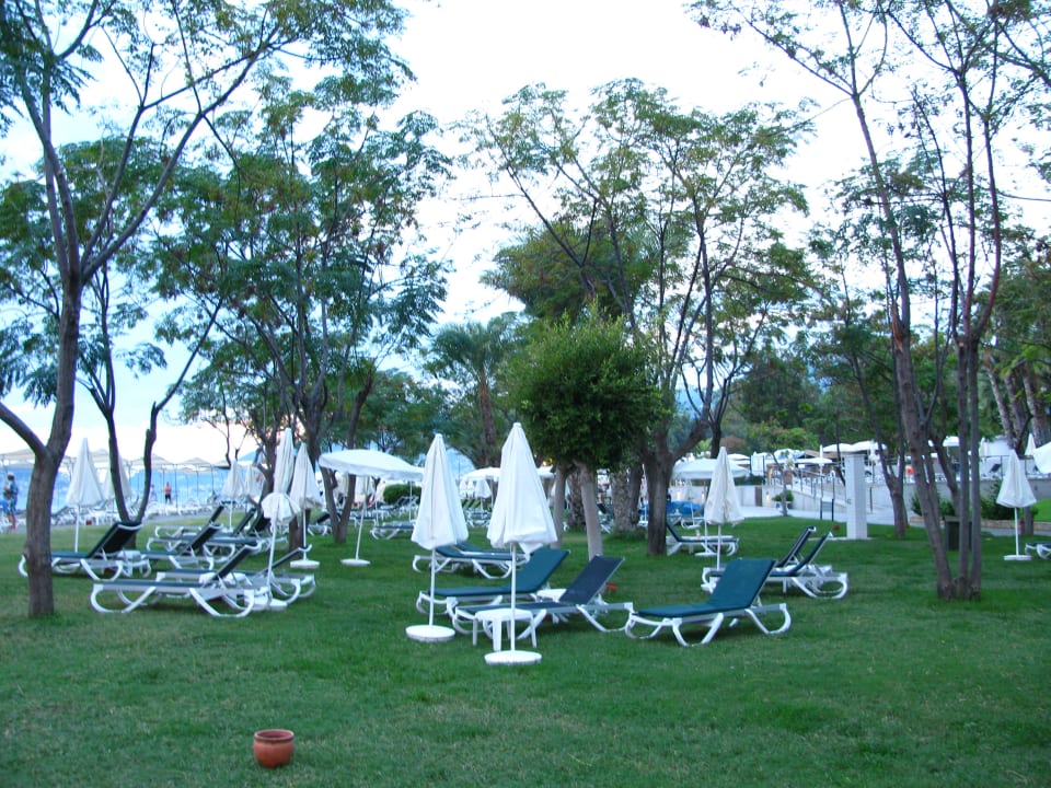 Ausblick Labranda Alantur Resort