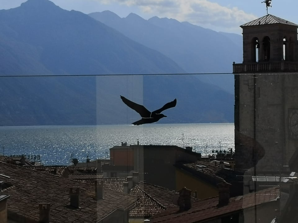 Ausblick Hotel Antico Borgo