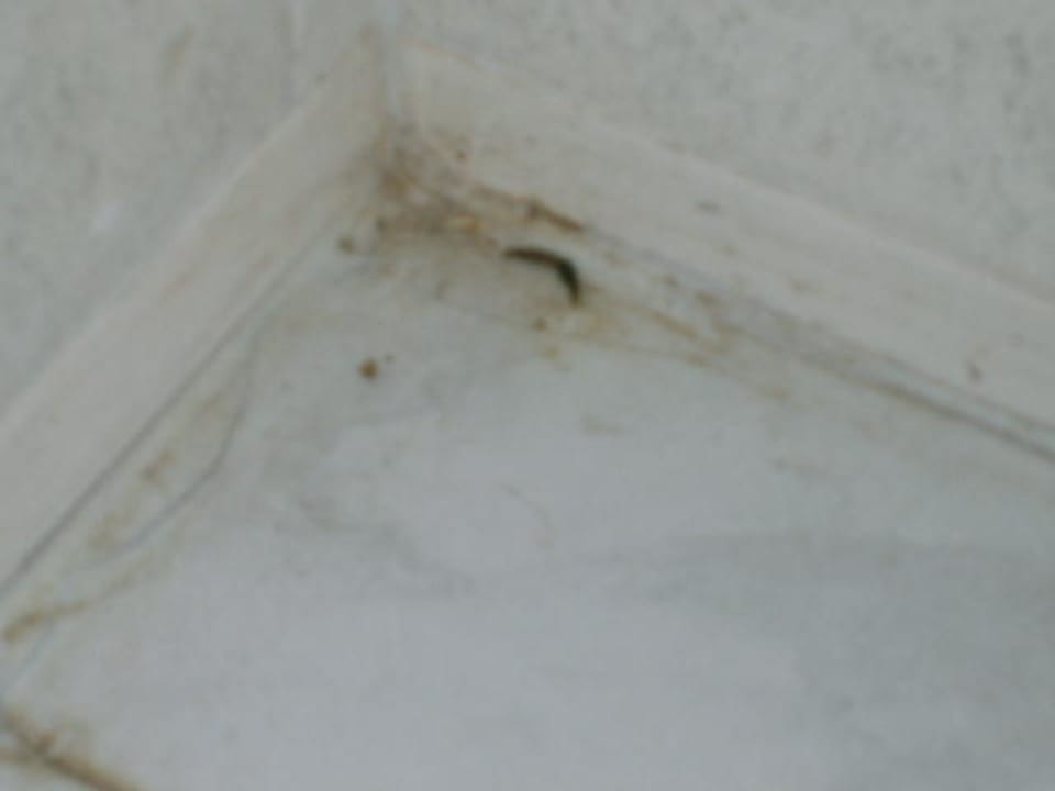 Sauberkeit im Zimmer HSM Reina del Mar