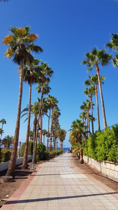 Strand Hotel Riu Arecas - Adults only